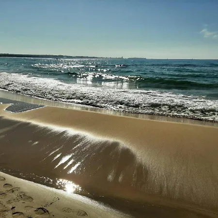 Lunaspina *