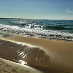 Lunaspina *